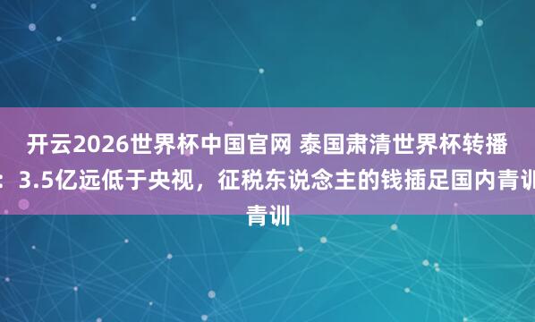 开云2026世界杯中国官网 泰国肃清世界杯转播：3.5亿远低于央视，征税东说念主的钱插足国内青训