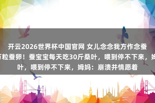 开云2026世界杯中国官网 女儿念念我方作念蚕丝被，全家网购1万粒蚕卵！蚕宝宝每天吃30斤桑叶，喂到停不下来，姆妈：崩溃并情愿着