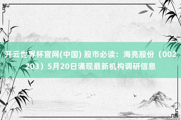 开云世界杯官网(中国) 股市必读：海亮股份（002203）5月20日涌现最新机构调研信息