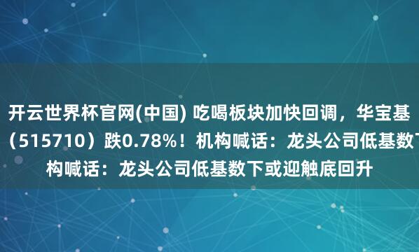 开云世界杯官网(中国) 吃喝板块加快回调，华宝基金食物饮料ETF（515710）跌0.78%！机构喊话：龙头公司低基数下或迎触底回升