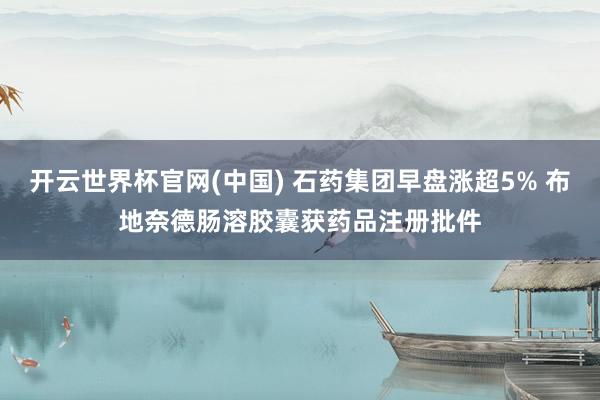 开云世界杯官网(中国) 石药集团早盘涨超5% 布地奈德肠溶胶囊获药品注册批件