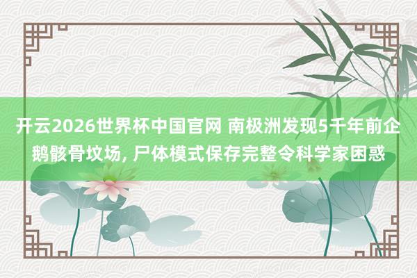 开云2026世界杯中国官网 南极洲发现5千年前企鹅骸骨坟场， 尸体模式保存完整令科学家困惑