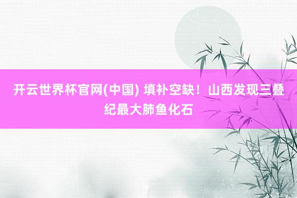 开云世界杯官网(中国) 填补空缺！山西发现三叠纪最大肺鱼化石