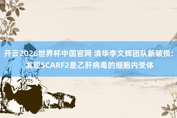 开云2026世界杯中国官网 清华李文辉团队新破损: 发现SCARF2是乙肝病毒的细胞内受体