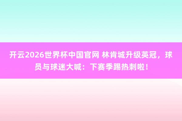 开云2026世界杯中国官网 林肯城升级英冠,球员与球迷大喊:下赛季踢热刺啦!
