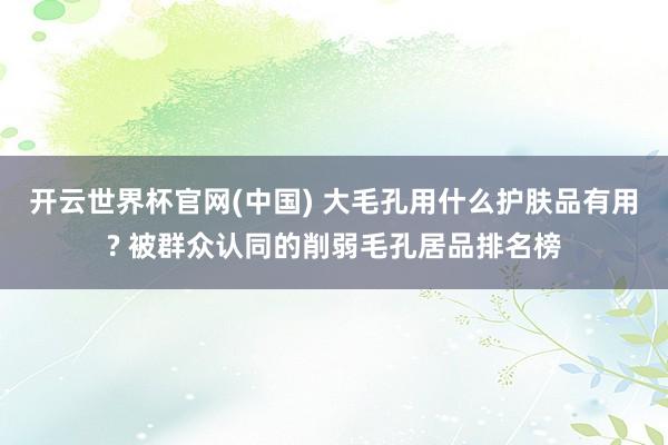 开云世界杯官网(中国) 大毛孔用什么护肤品有用? 被群众认同的削弱毛孔居品排名榜