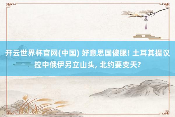 开云世界杯官网(中国) 好意思国傻眼! 土耳其提议拉中俄伊另立山头， 北约要变天?
