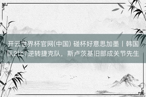 开云世界杯官网(中国) 碰杯好意思加墨丨韩国队2比1逆转捷克队，斯卢茨基旧部成关节先生