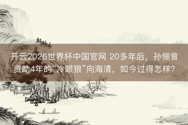开云2026世界杯中国官网 20多年后，孙俪曾资助4年的“冷眼狼”向海清，如今过得怎样？