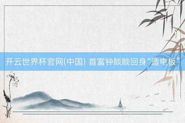 开云世界杯官网(中国) 首富钟睒睒回身“造电板”